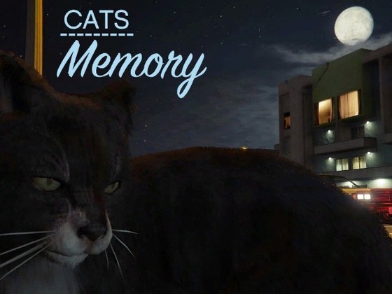 Cats: Memory