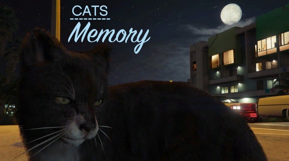 Cats: Memory