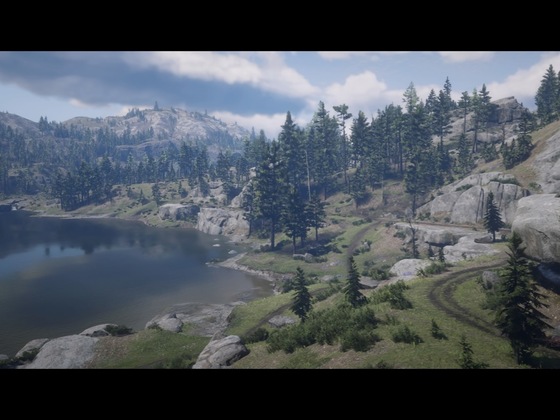 Red Dead Redemption 2_Storymodus_Screenshot (27)