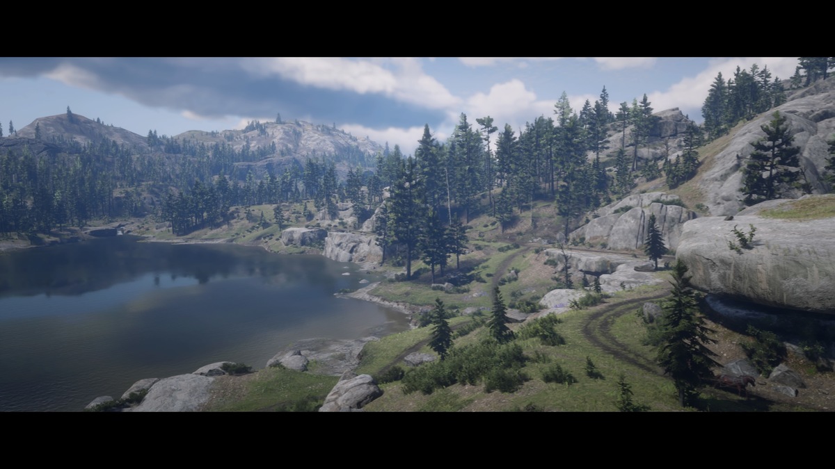 Red Dead Redemption 2_Storymodus_Screenshot (27)