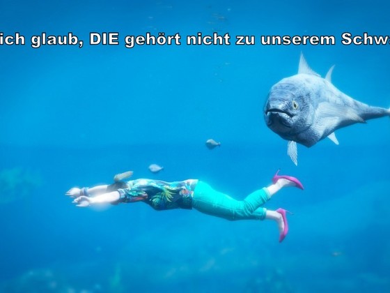 Leichte Verwirrung