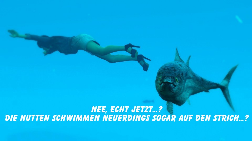 Echt jetzt...?