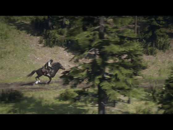 Red Dead Redemption 2_Storymodus_Screenshot (28)
