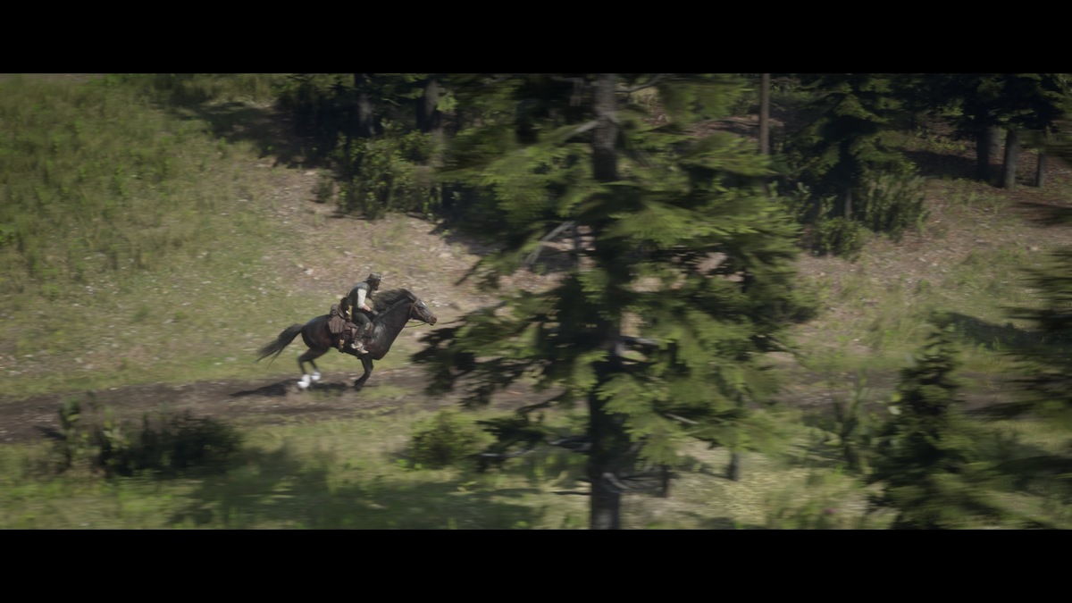 Red Dead Redemption 2_Storymodus_Screenshot (28)