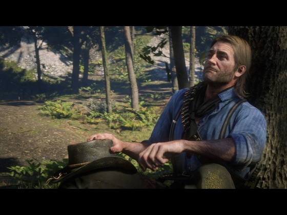 Red Dead Redemption 2_Storymodus_Screenshot (60)