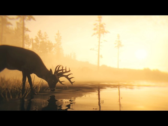 Red Dead Redemption 2_Storymodus_Screenshot (15)