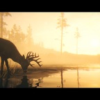 Red Dead Redemption 2_Storymodus_Screenshot (15)