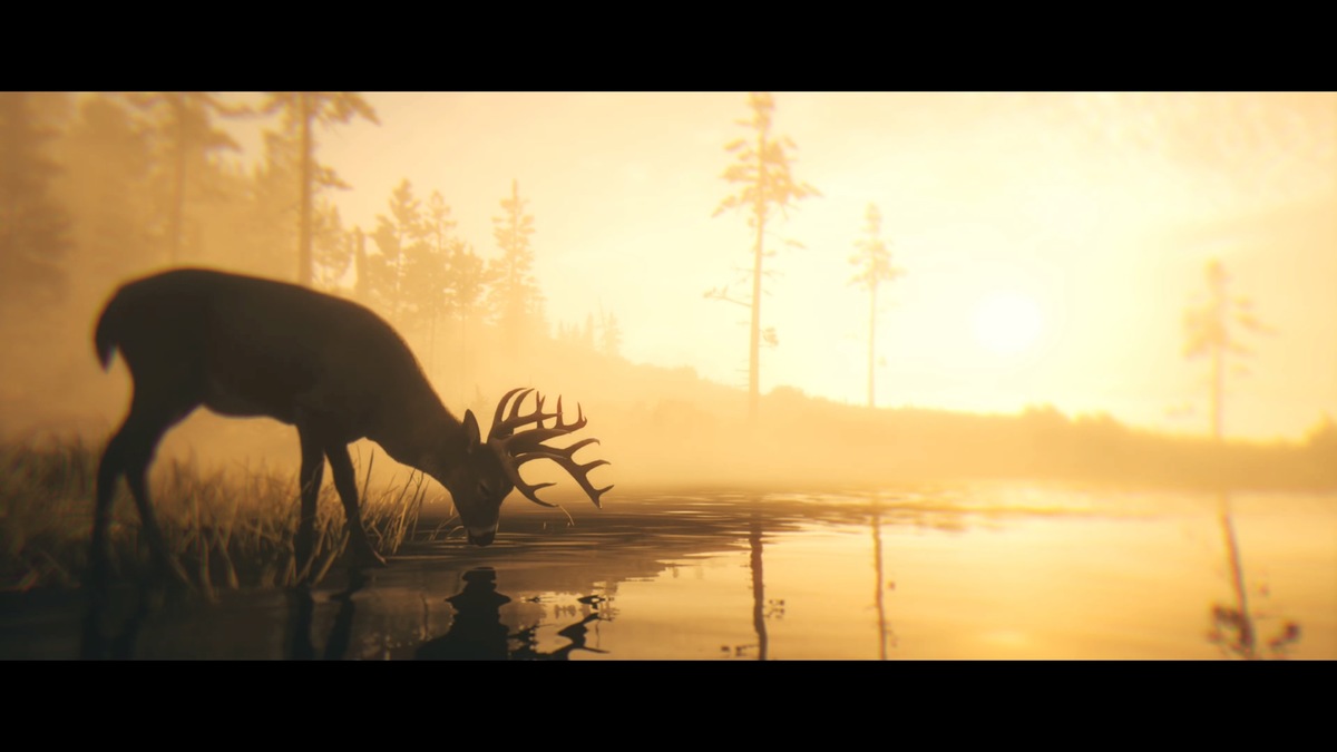 Red Dead Redemption 2_Storymodus_Screenshot (15)