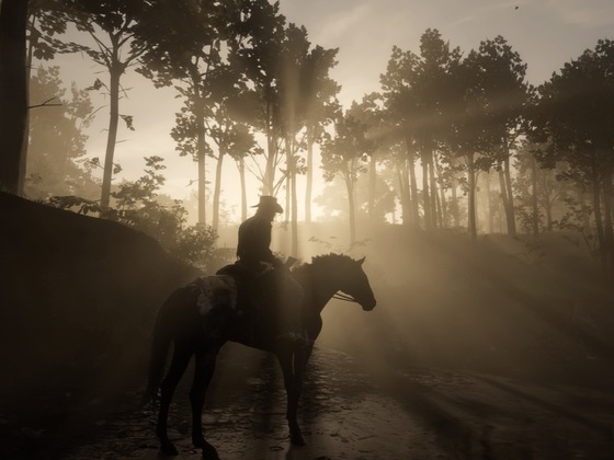 Red Dead Redemption 2_Storymodus_Screenshot (4)