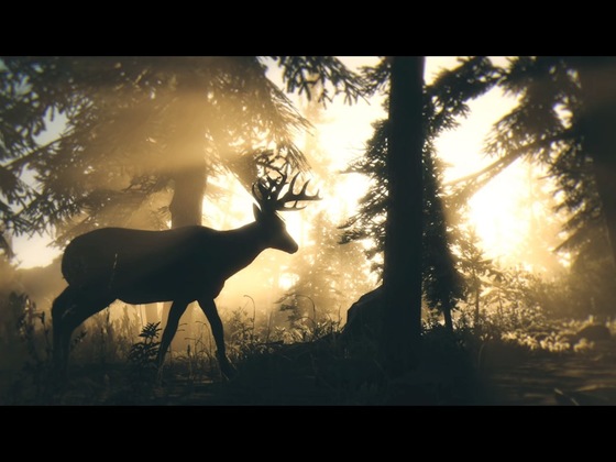 Red Dead Redemption 2_Storymodus_Screenshot (16)