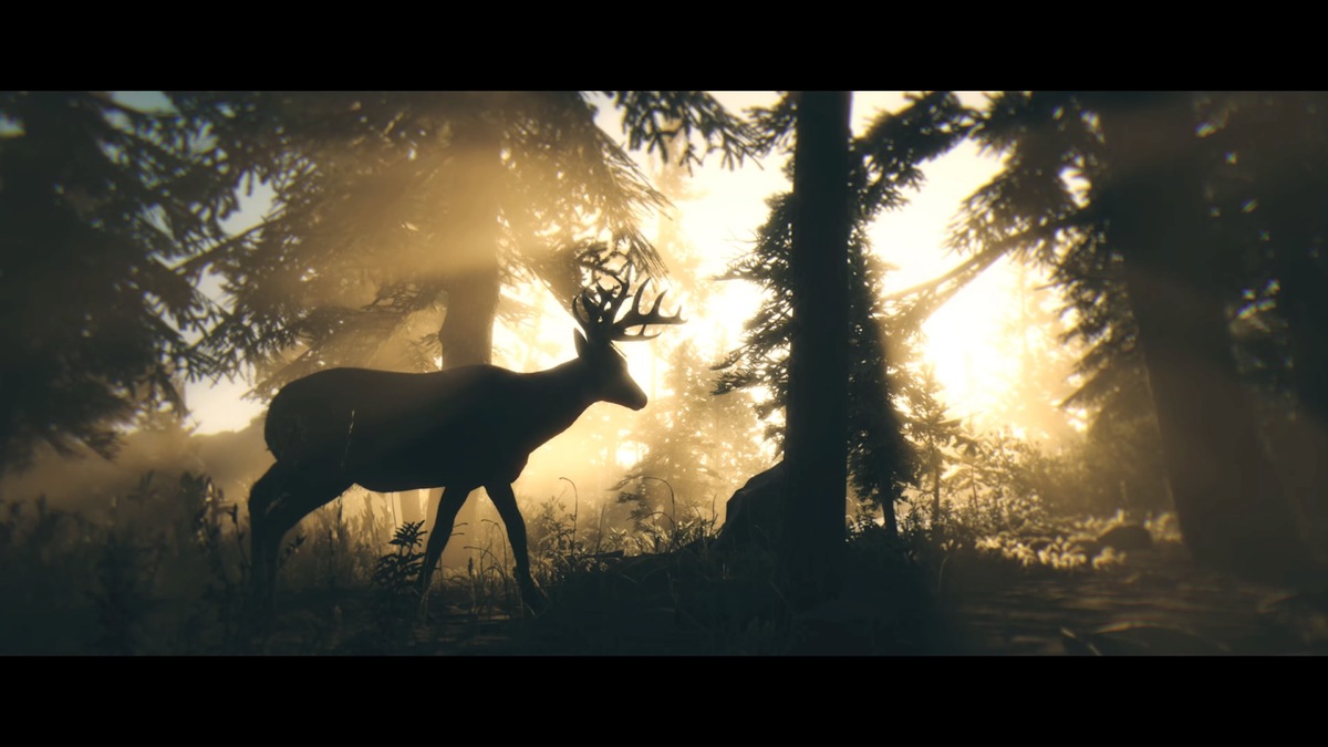 Red Dead Redemption 2_Storymodus_Screenshot (16)