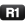 :PS-R1: